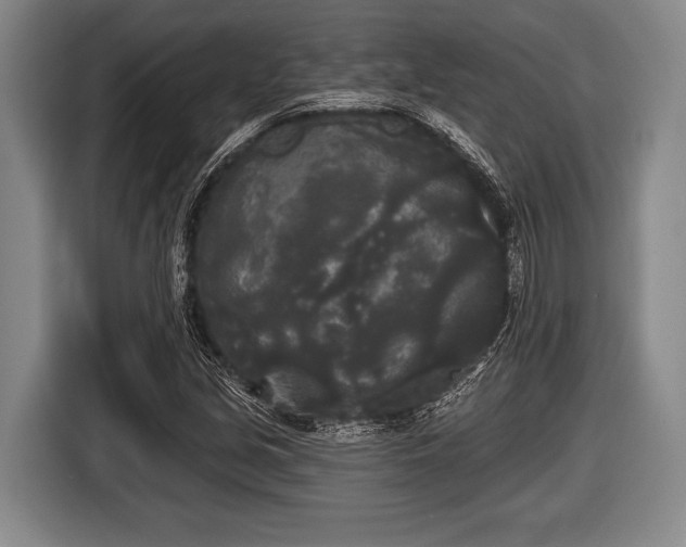 X0000116851213200912291233