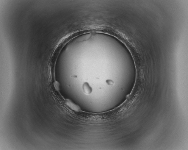 X0000116851214200912291233