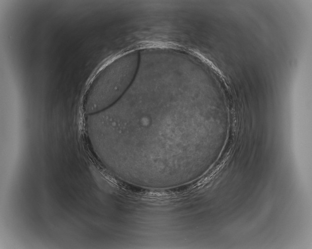 X0000116851215200912291233