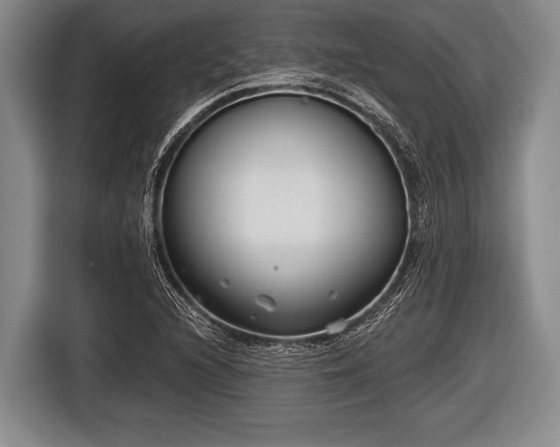 X0000116851216200912291233