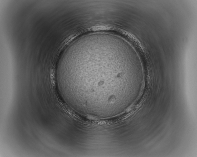 X0000116851217200912291233