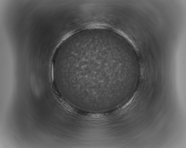X0000116851219200912291233