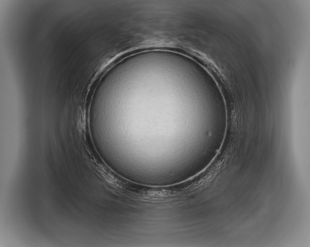 X0000116851220200912291233