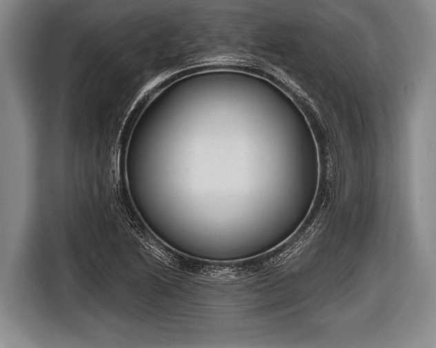X0000116851222200912291233