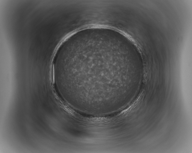 X0000116851223200912291233