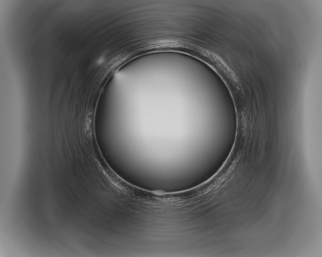 X0000116851225200912291233