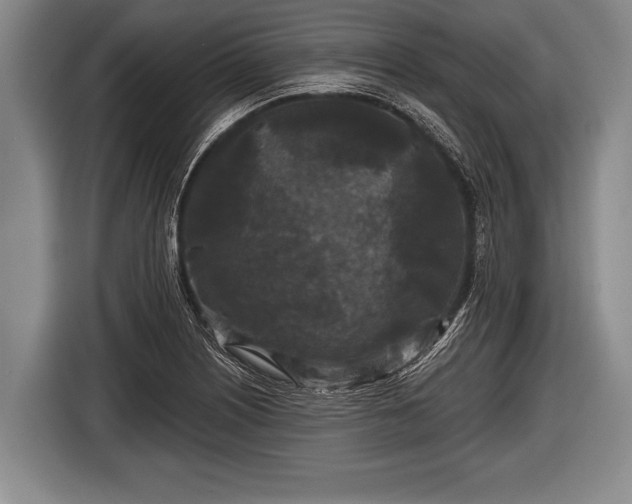 X0000116851226200912291233