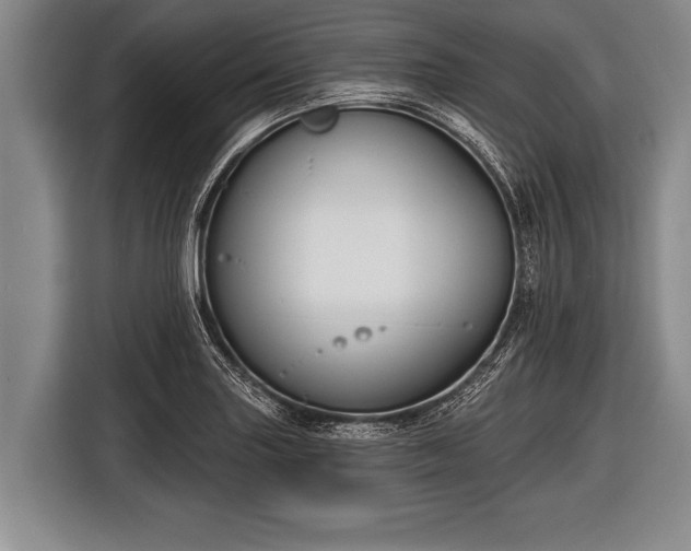 X0000116851227200912291233