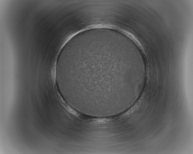 X0000116851228200912291233