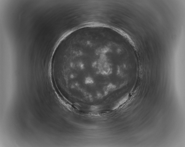 X0000116851231200912291233