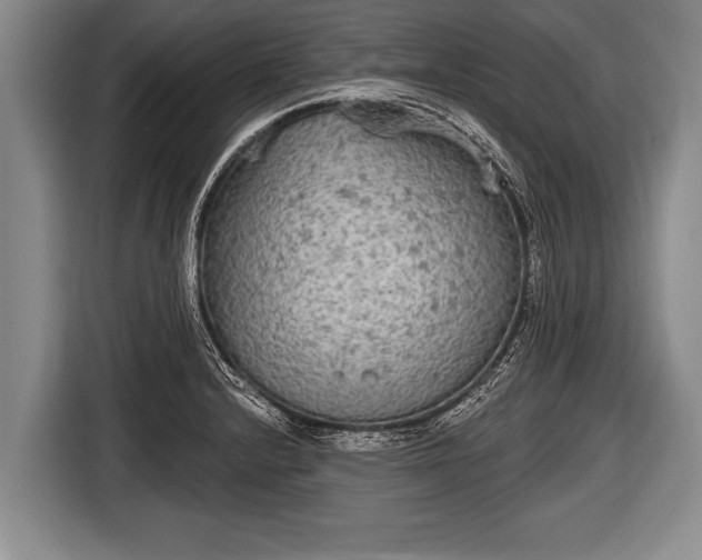 X0000116851232200912291233