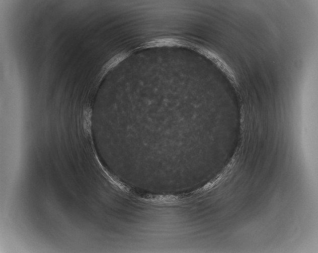 X0000116851233200912291233