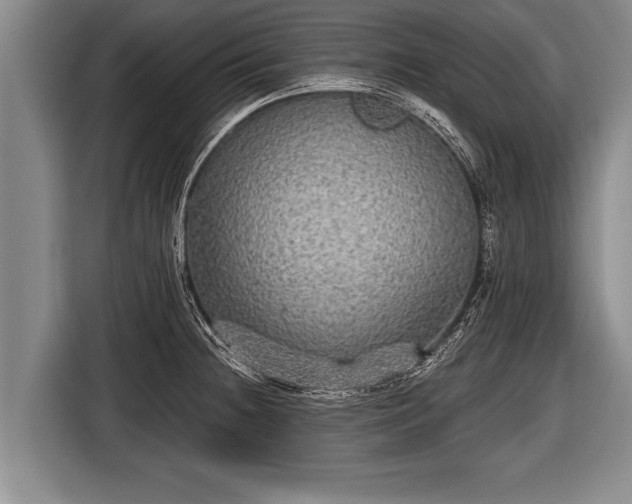 X0000116851236200912291234