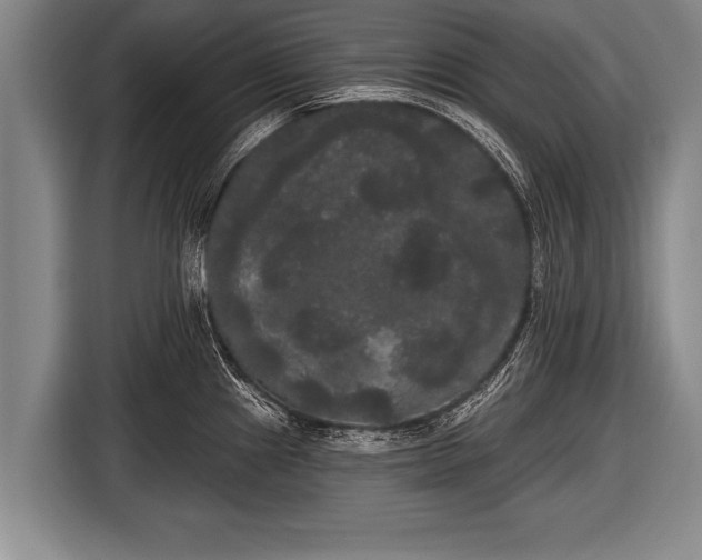 X0000116851241200912291234