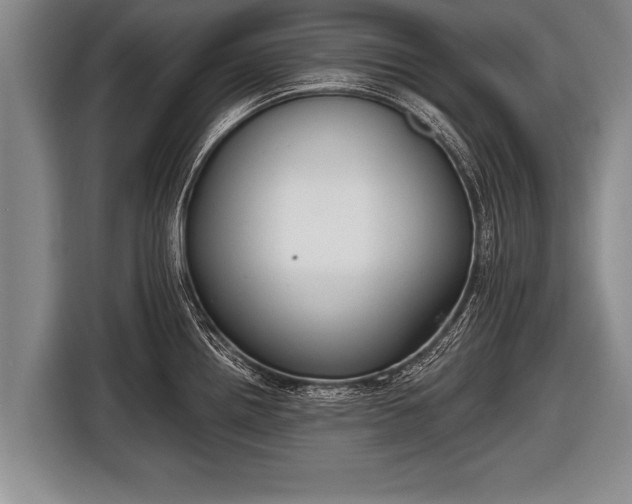 X0000116851242200912291234