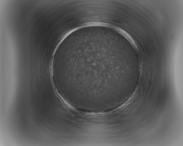 X0000116851244200912291234