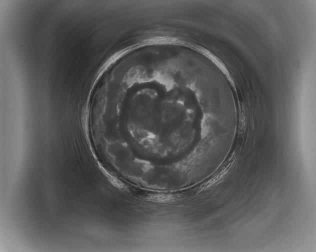 X0000116851245200912291234