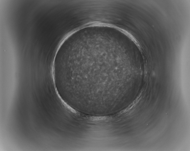X0000116851247200912291234