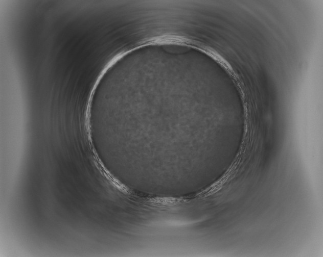 X0000116851248200912291234