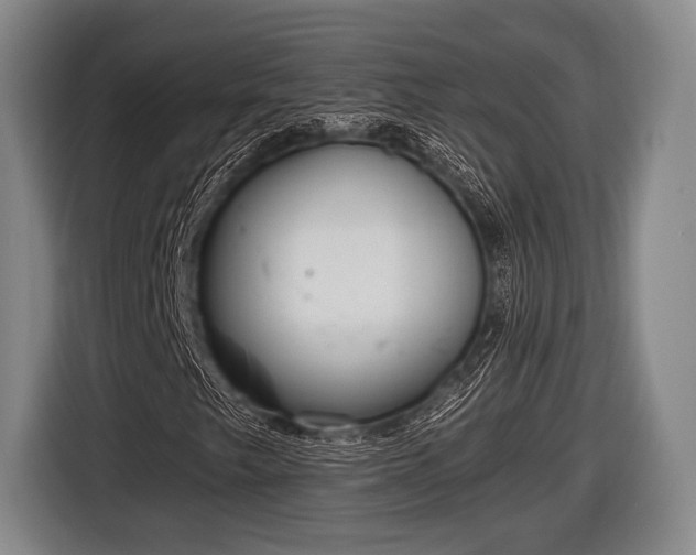X0000116851249200912291233