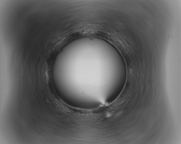 X0000116851250200912291233