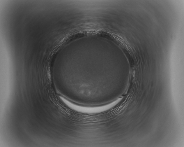 X0000116851252200912291233