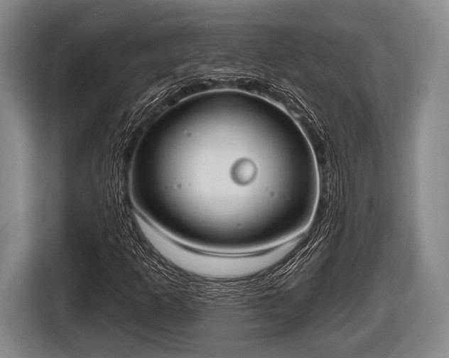X0000116851253200912291233