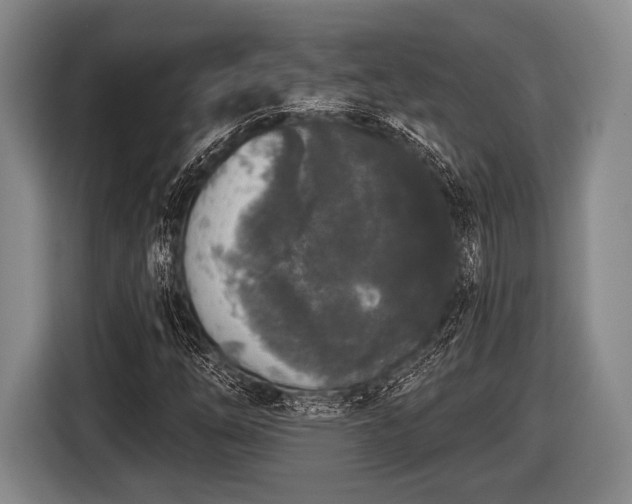 X0000116851254200912291233