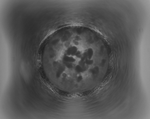 X0000116851255200912291233