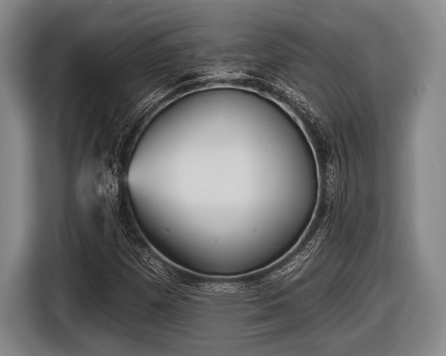 X0000116851257200912291233