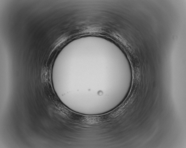 X0000116851258200912291233