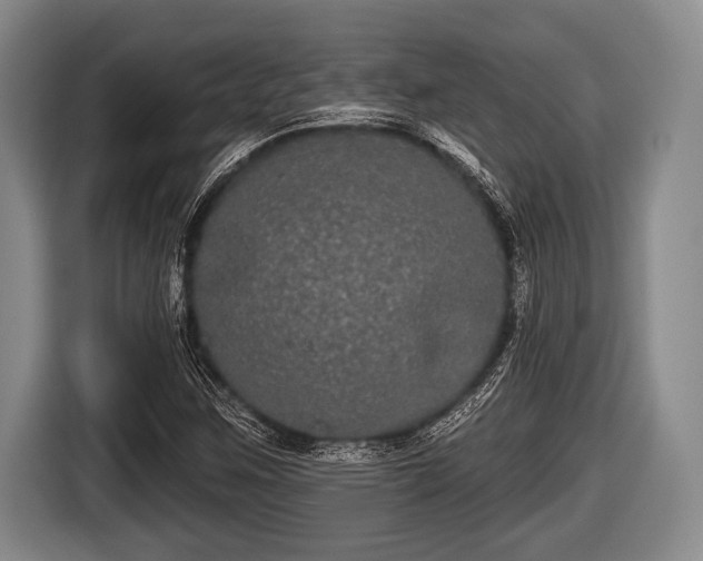 X0000116851259200912291233