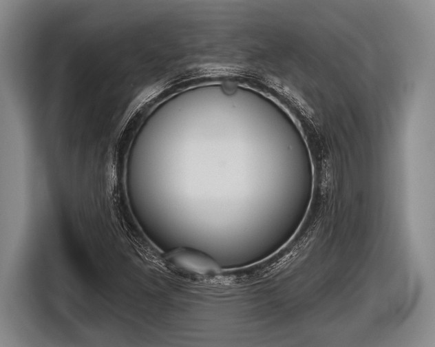 X0000116851261200912291233