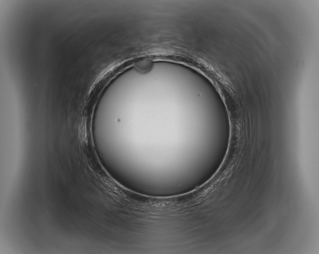 X0000116851262200912291233