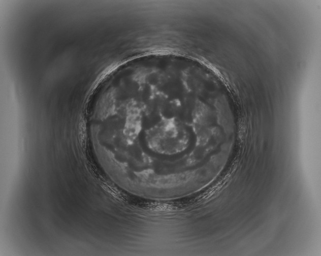 X0000116851263200912291233