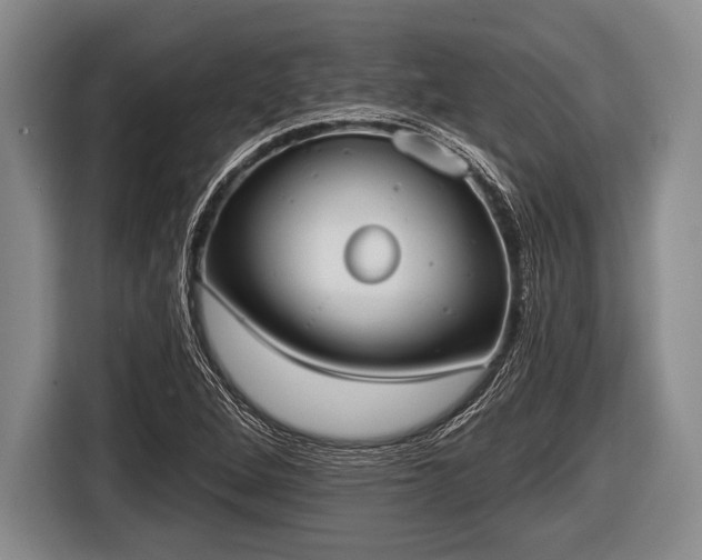 X0000116851264200912291233