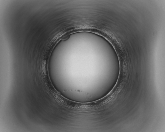 X0000116851265200912291233