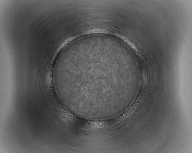X0000116851266200912291233