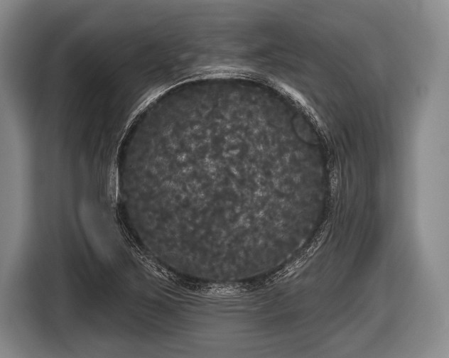 X0000116851267200912291233