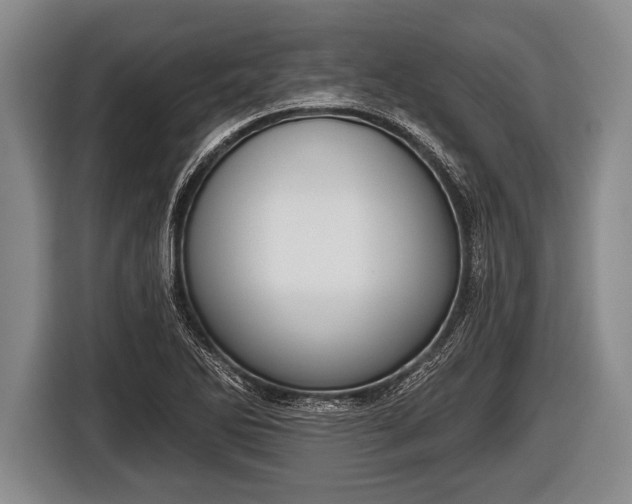 X0000116851270200912291233