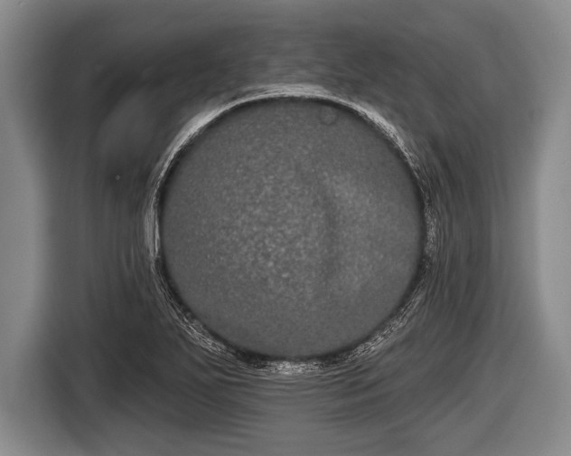 X0000116851271200912291233