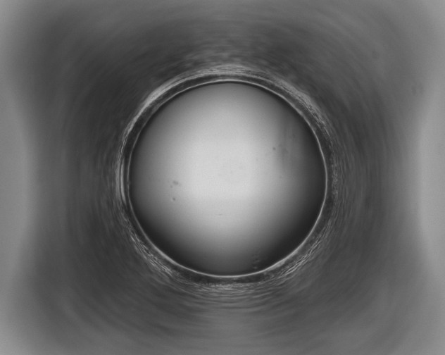 X0000116851272200912291233