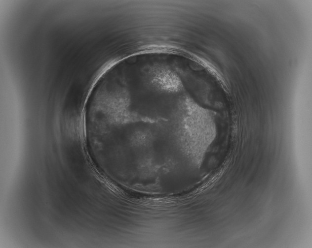 X0000116851275200912291233