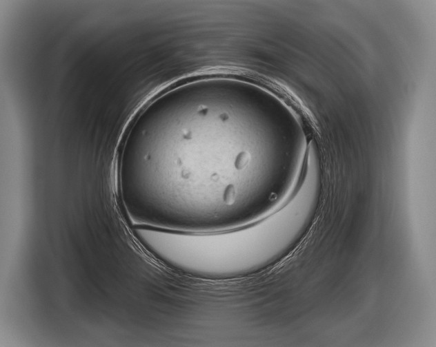 X0000116851276200912291233
