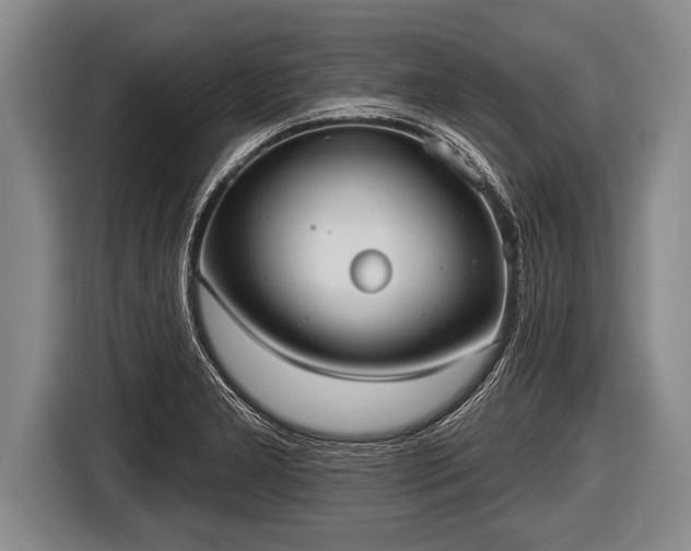 X0000116851277200912291233