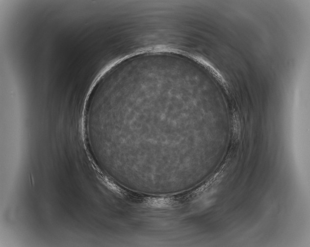 X0000116851278200912291233