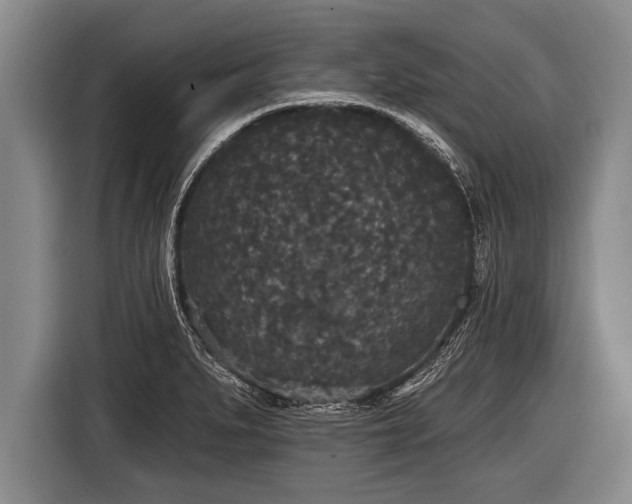 X0000116851279200912291233