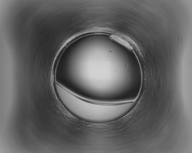 X0000116851280200912291233