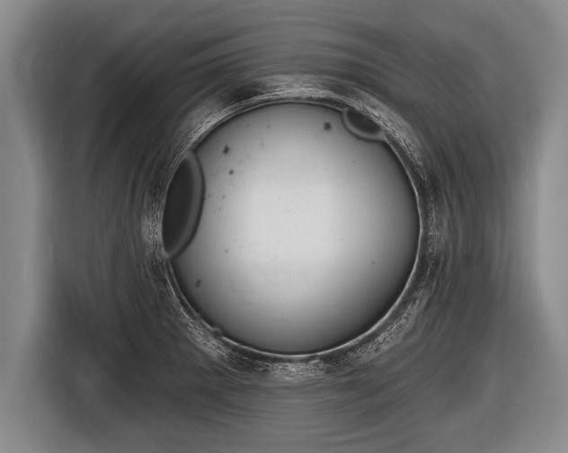 X0000116851281200912291233