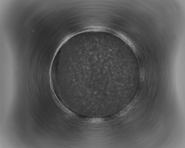 X0000116851283200912291233